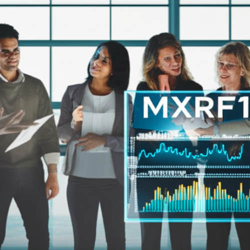 Investimento Inteligente em FIIs com MXRF11